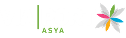 Viaport AVM