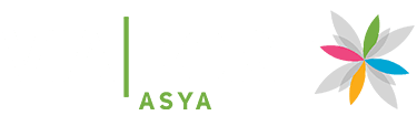 Viaport AVM