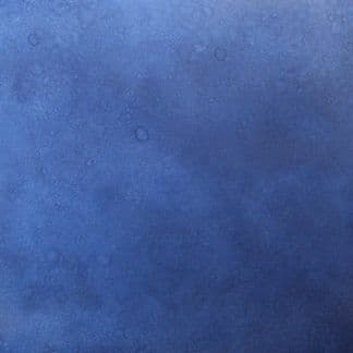 Blueberry on WB Micro-Top