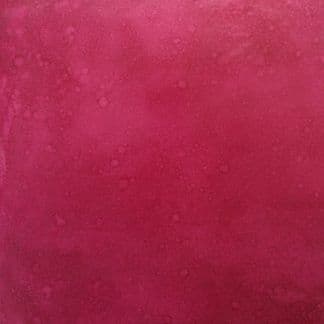 Pomegranate on WB Micro-Top