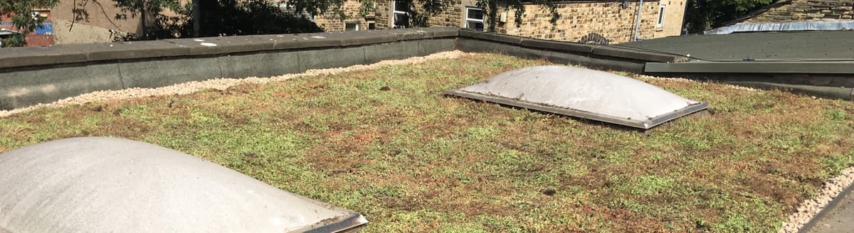 Grassroof — yaşayan çatı sistemi