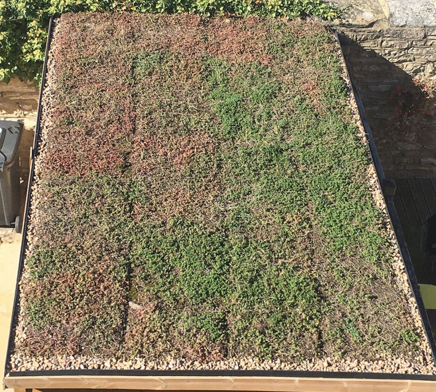 Grassroof uygulama detayı — Bomanite Türkiye